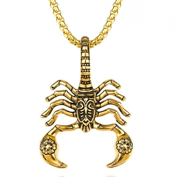 Other - ❤️Scorpion King clavicle pendant necklace for women/men, N90201P215